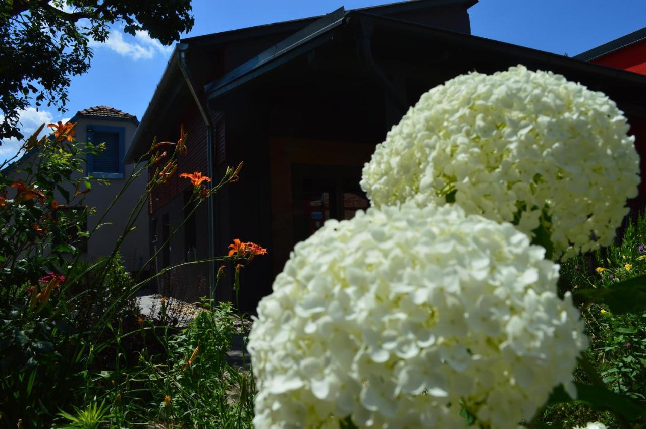 Bootshaus Villa ไอเซนชตัดท์ ภายนอก รูปภาพ
